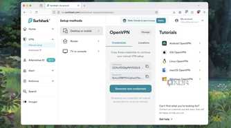 Screenshot of manual OpenVPN setup keys options in a VPN service