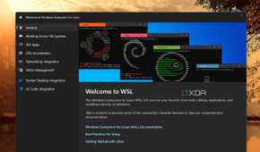 screenshot of wsl windows 11 app