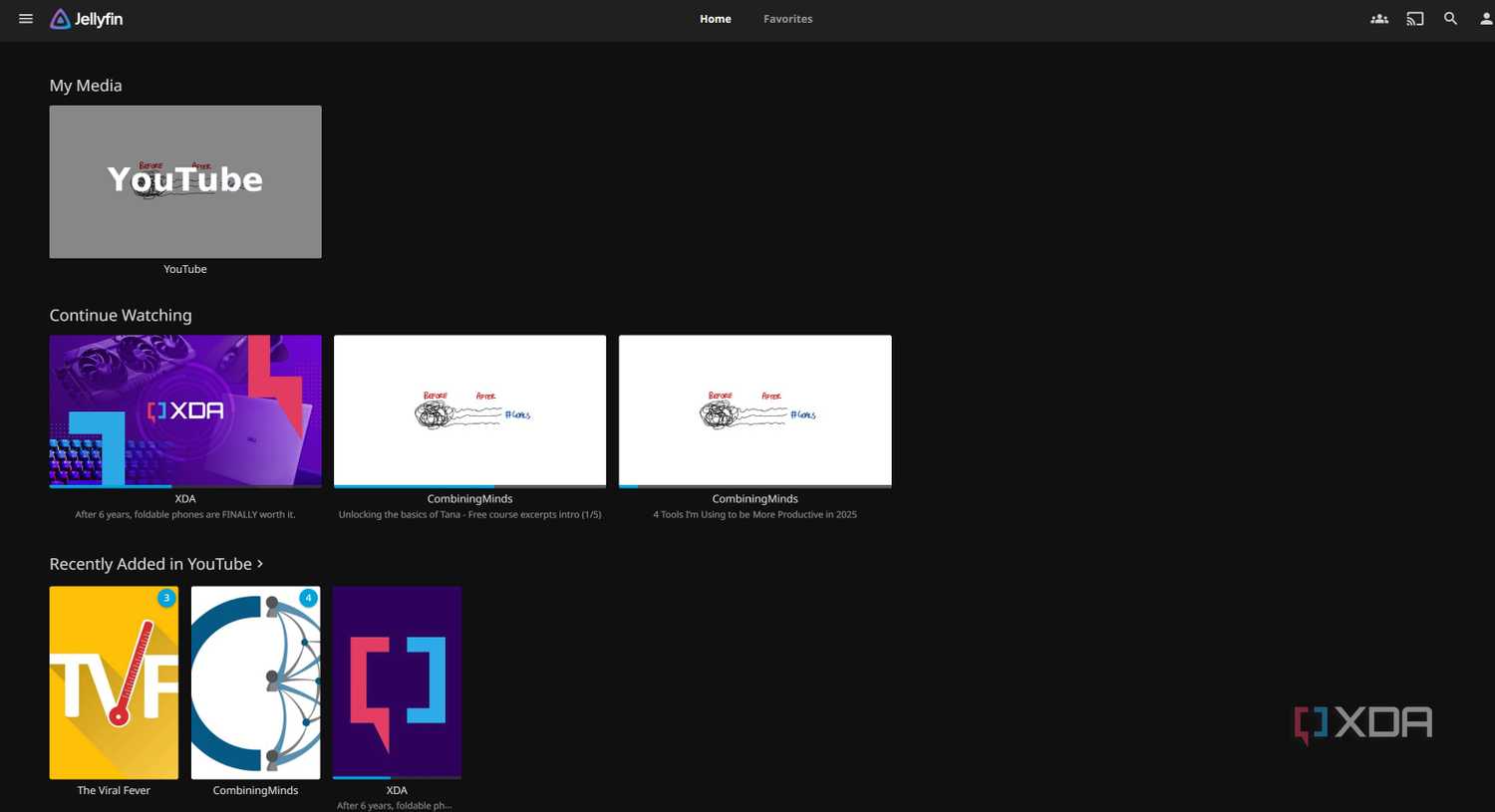 yt-accessible-on-jellyfin