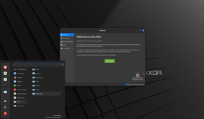 shows Mint Linux cinnamon desktop