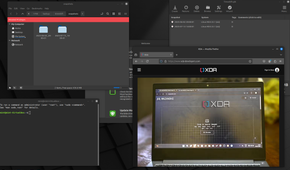 show Mint Linux running with multiple apps