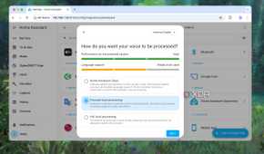 Focused Local Processing in Home Assistant