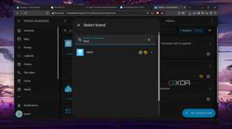 Selecting the HACS integration