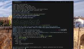 headscale running debian