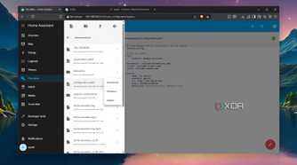Selecting the configuration.yaml file in HASS