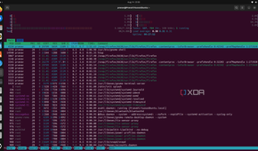 htop rrunning on Linux terminal