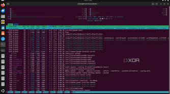 htop rrunning on Linux terminal