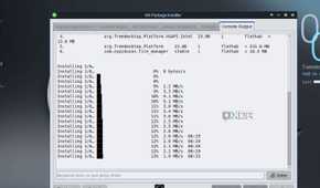 screenshot of mx linux xfce package flatpak app install terminal view