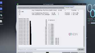 screenshot of mx linux xfce package flatpak app install terminal view