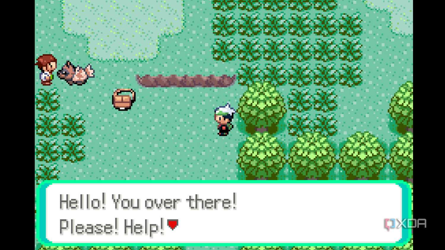 A screenshot from Pokémon Emerald on the Game Boy Advance.