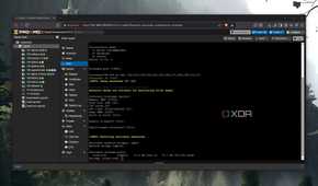 The advanced setup options when installing Pulse on Proxmox