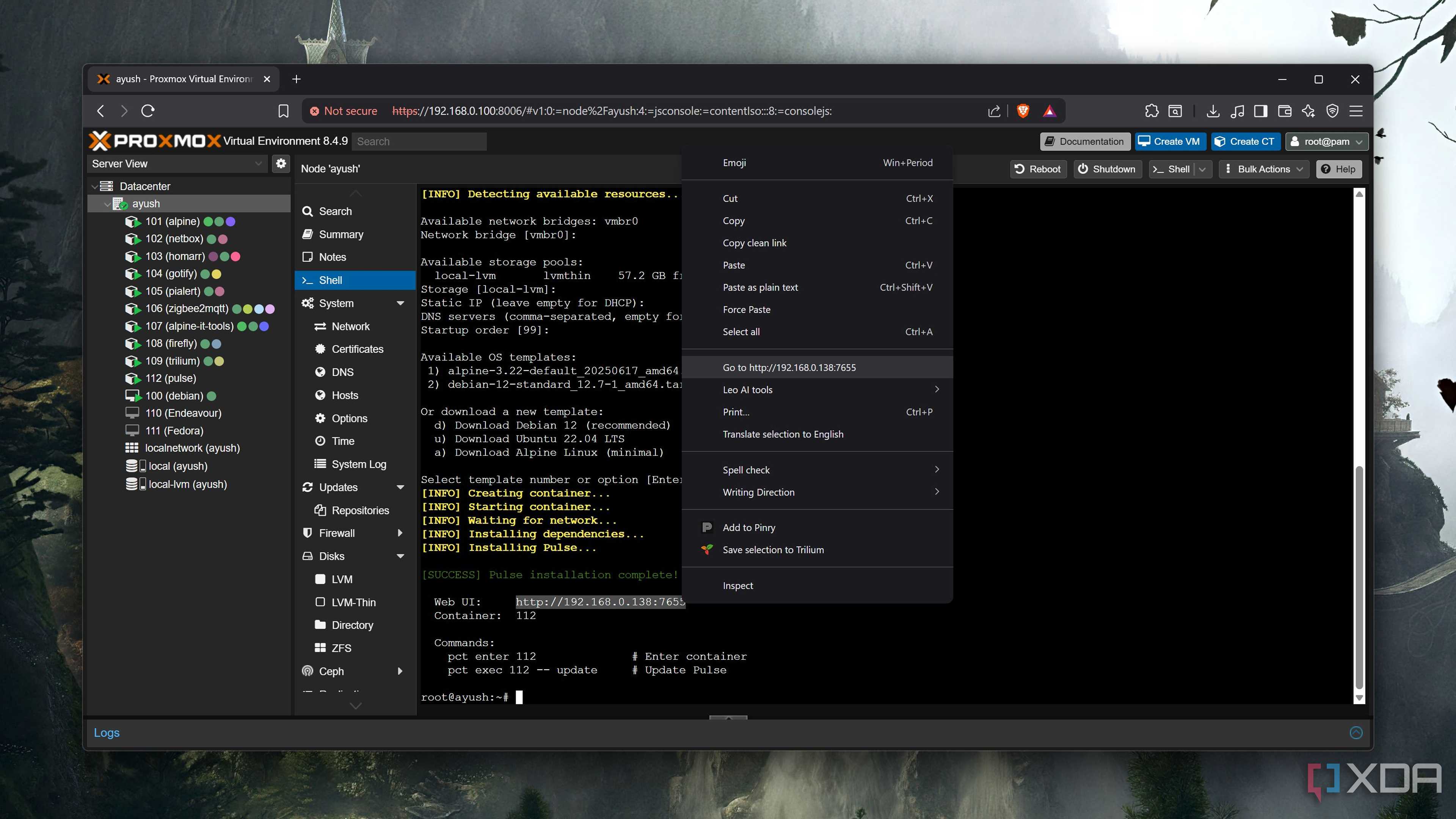 Accessing the Pulse web UI from Proxmox