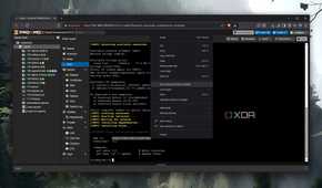 Accessing the Pulse web UI from Proxmox