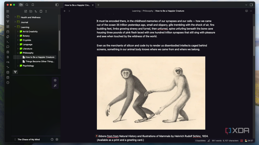 Una captura de pantalla de una nota de obsidiana.