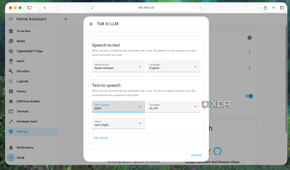 Setting Speech-to-Text and Text-to-Speech engines for a voice pipeline