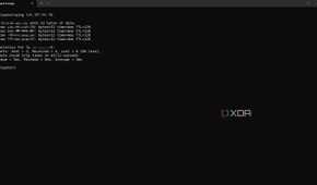 Connection test in Tailscale by pinging