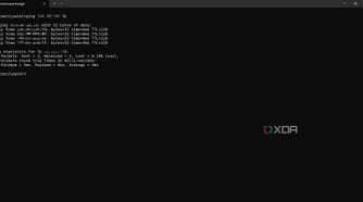 Connection test in Tailscale by pinging