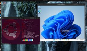 Windows 11 running in Gnome-Boxes alongside Ubuntu Terminal