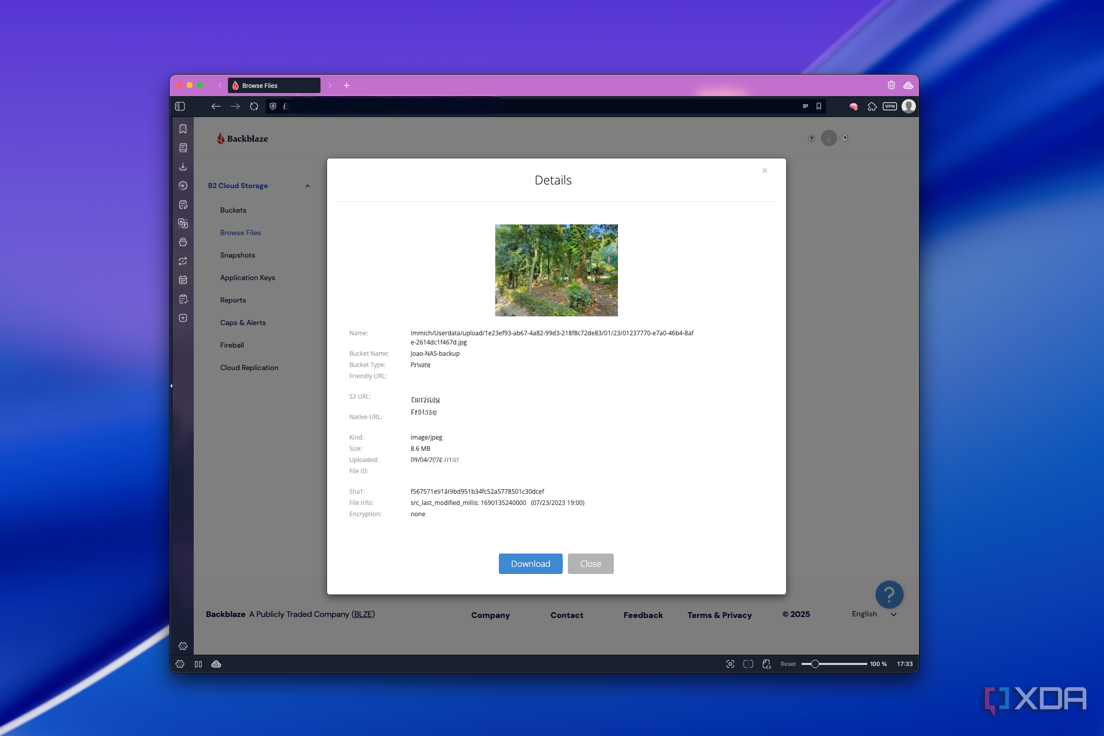 Screenshot of an image preview in Blackblaze's web UI