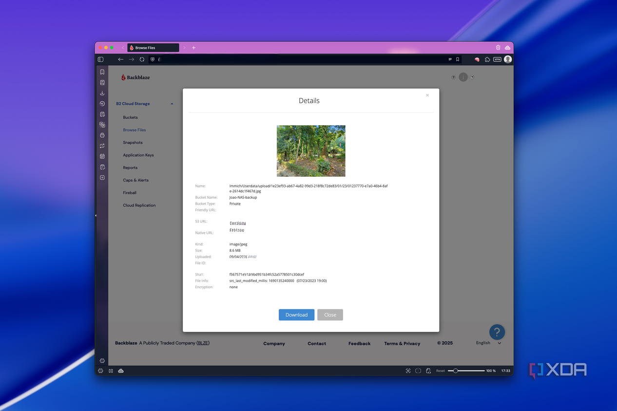 Screenshot of an image preview in Blackblaze's web UI