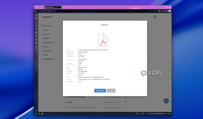 Screenshot of a PDF file summary in Blackblaze's web UI