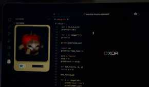Cat extension displayed in VS Code next to code-1
