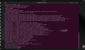 Confirming the Docker and Docker Compose version