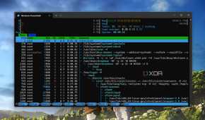 screenshot of dietpi htop tool