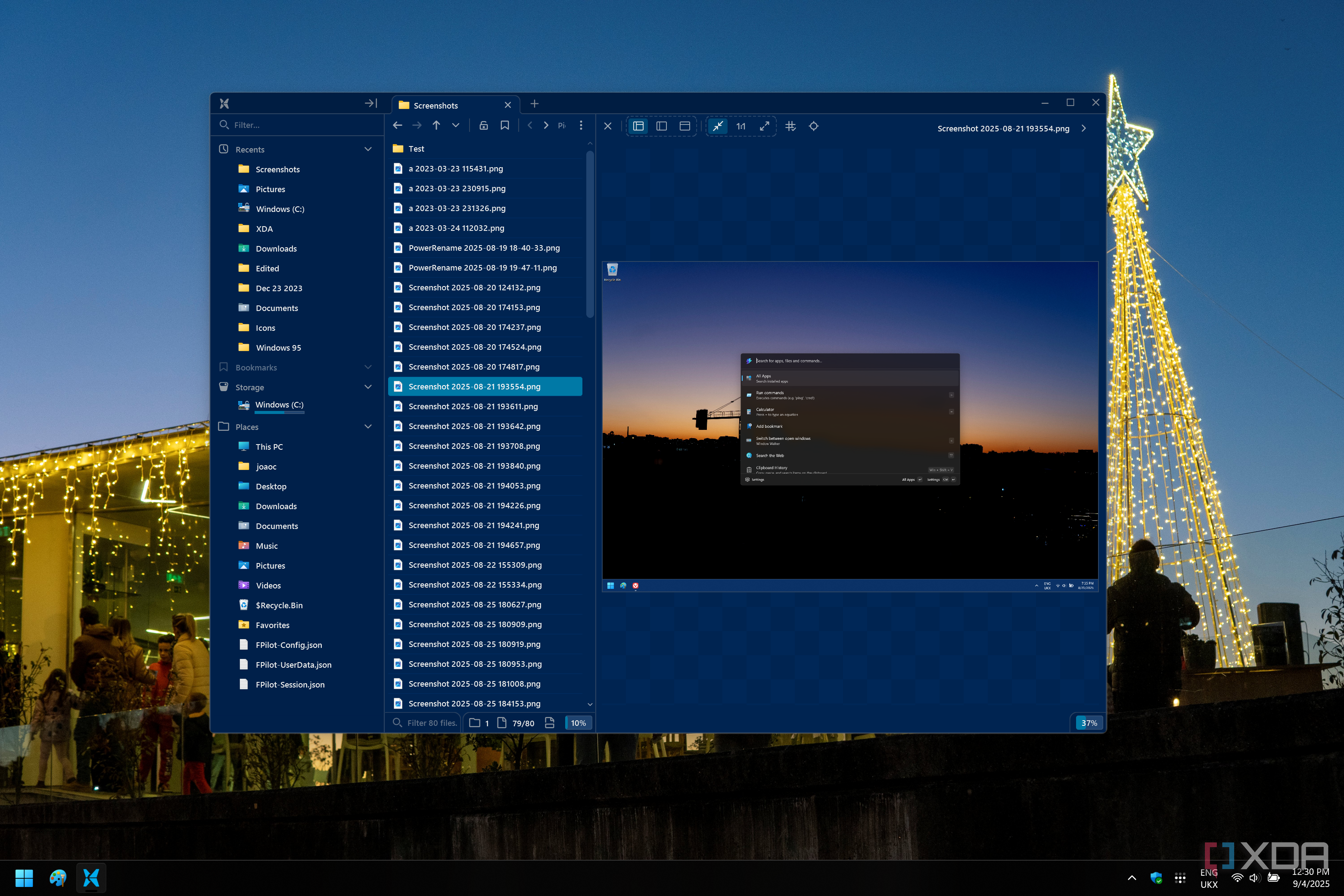 Screenshot of File Pilot showing the Preview pane with a photo