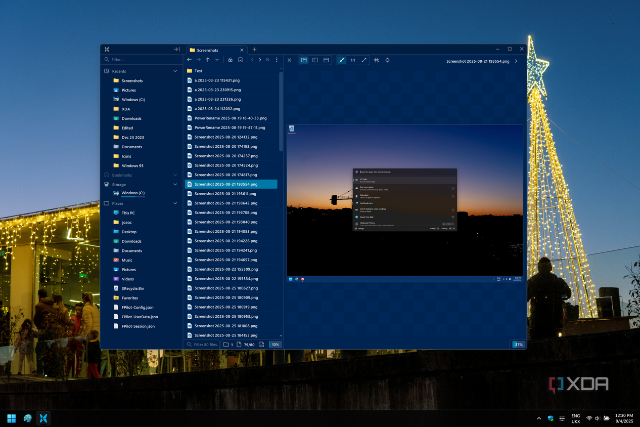 Screenshot of File Pilot showing the Preview pane with a photo
