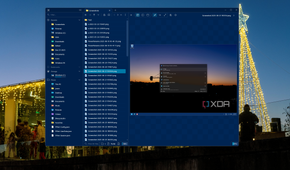 Screenshot of File Pilot showing the Preview pane with a photo