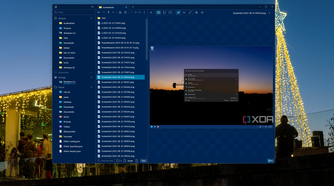 Screenshot of File Pilot showing the Preview pane with a photo