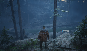 Walking through the woods in Hell is Us.