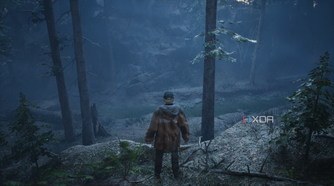 Walking through the woods in Hell is Us.
