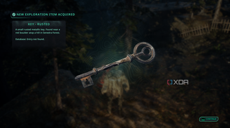 A rusted key in Hell is Us.