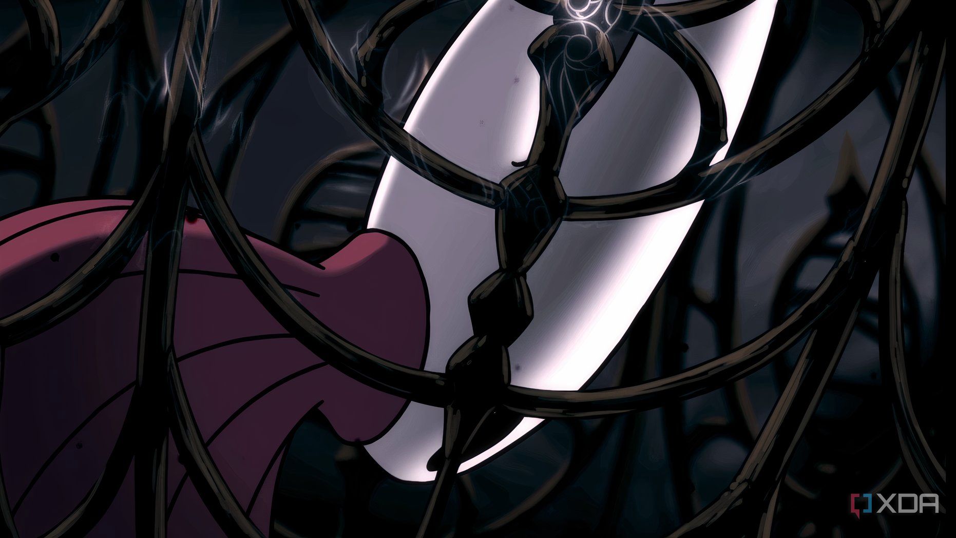 A close up of Hornet in a cage