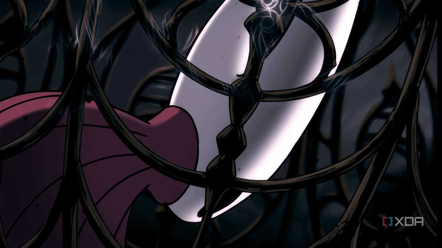 A close up of Hornet in a cage