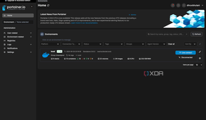 Portainer home page