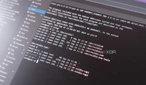 Proxmox server with multiple Nvidia GPUs