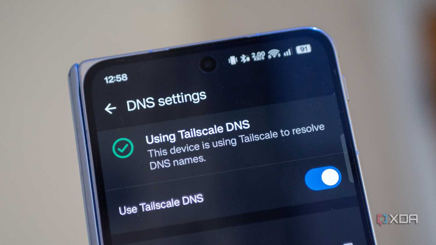 Smartphone screen displaying "DNS settings" with a toggle switch enabled for “Use Tailscale DNS.” Checkmark indicates active status.