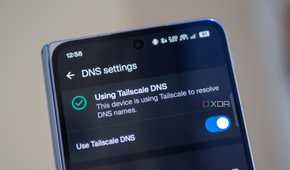 Smartphone screen displaying "DNS settings" with a toggle switch enabled for “Use Tailscale DNS.” Checkmark indicates active status.