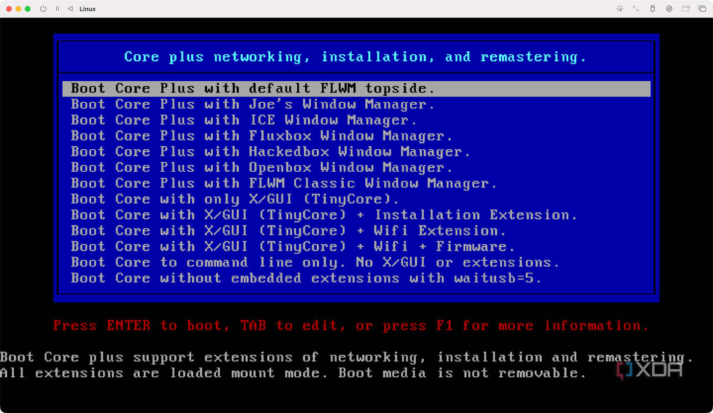 TinyCore install choices