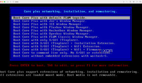 TinyCore install choices