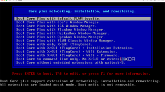 TinyCore install choices