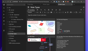 Trilium notes types