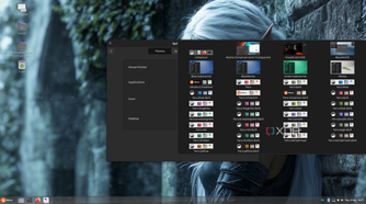 Ubuntu Cinnamon themes