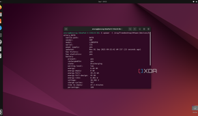 Terminal in Ubuntu