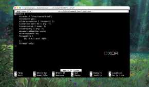 Bind configuration file for forwarding localhost queries to Unbound