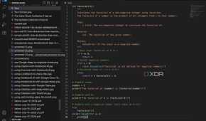 VSCodium Python code