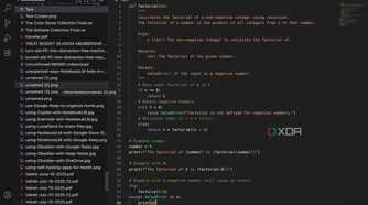 VSCodium Python code